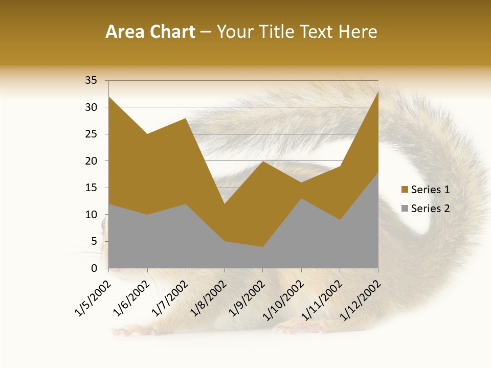 Rodent Small Tail PowerPoint Template