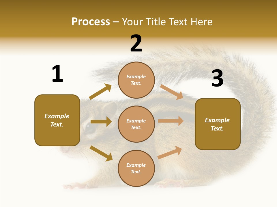 Rodent Small Tail PowerPoint Template