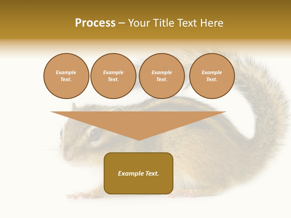 Rodent Small Tail PowerPoint Template