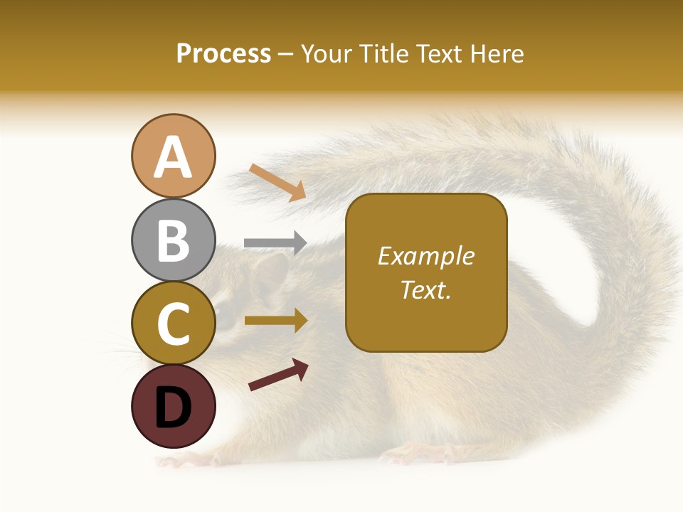 Rodent Small Tail PowerPoint Template
