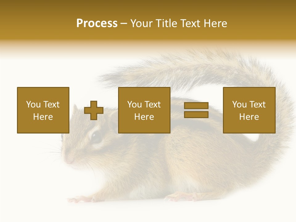 Rodent Small Tail PowerPoint Template