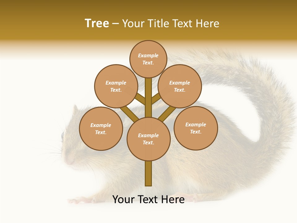 Rodent Small Tail PowerPoint Template