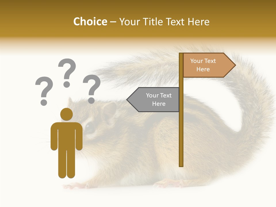 Rodent Small Tail PowerPoint Template