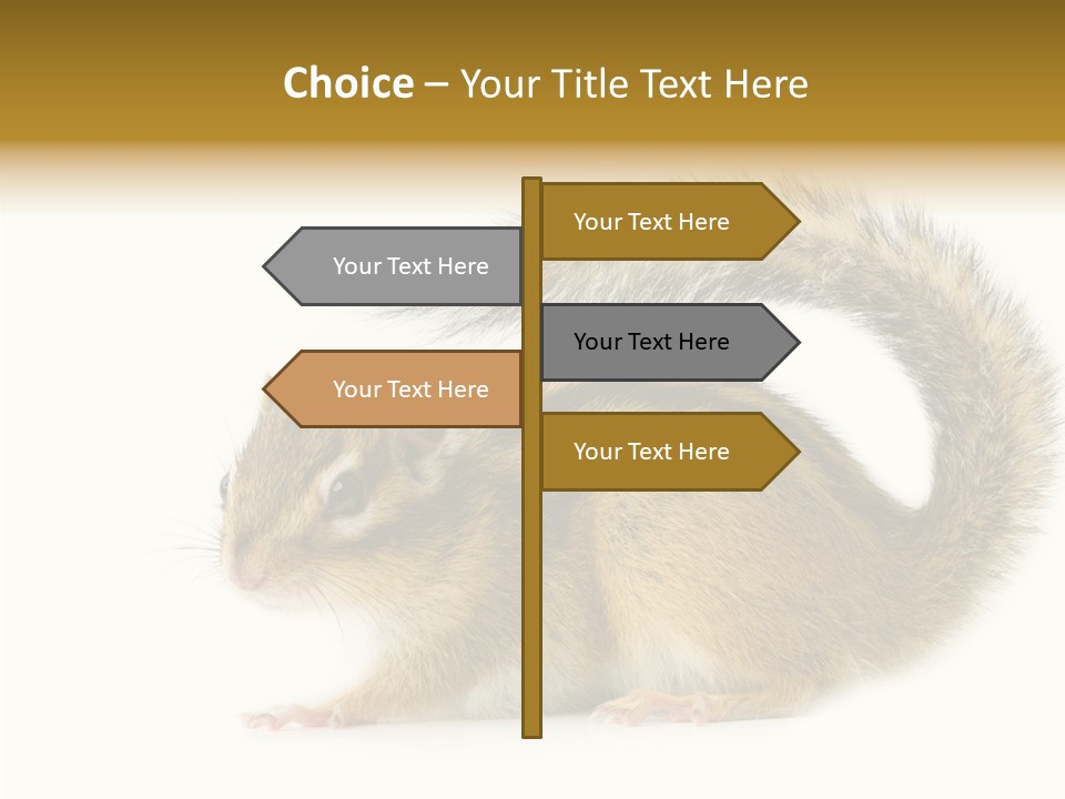 Rodent Small Tail PowerPoint Template