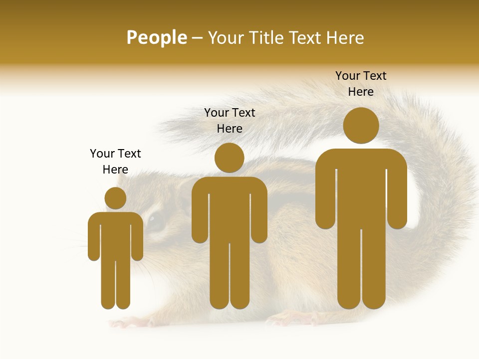 Rodent Small Tail PowerPoint Template