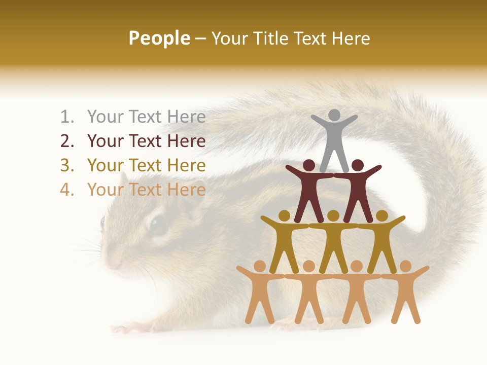 Rodent Small Tail PowerPoint Template