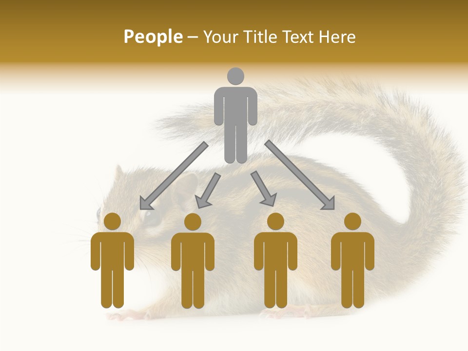 Rodent Small Tail PowerPoint Template
