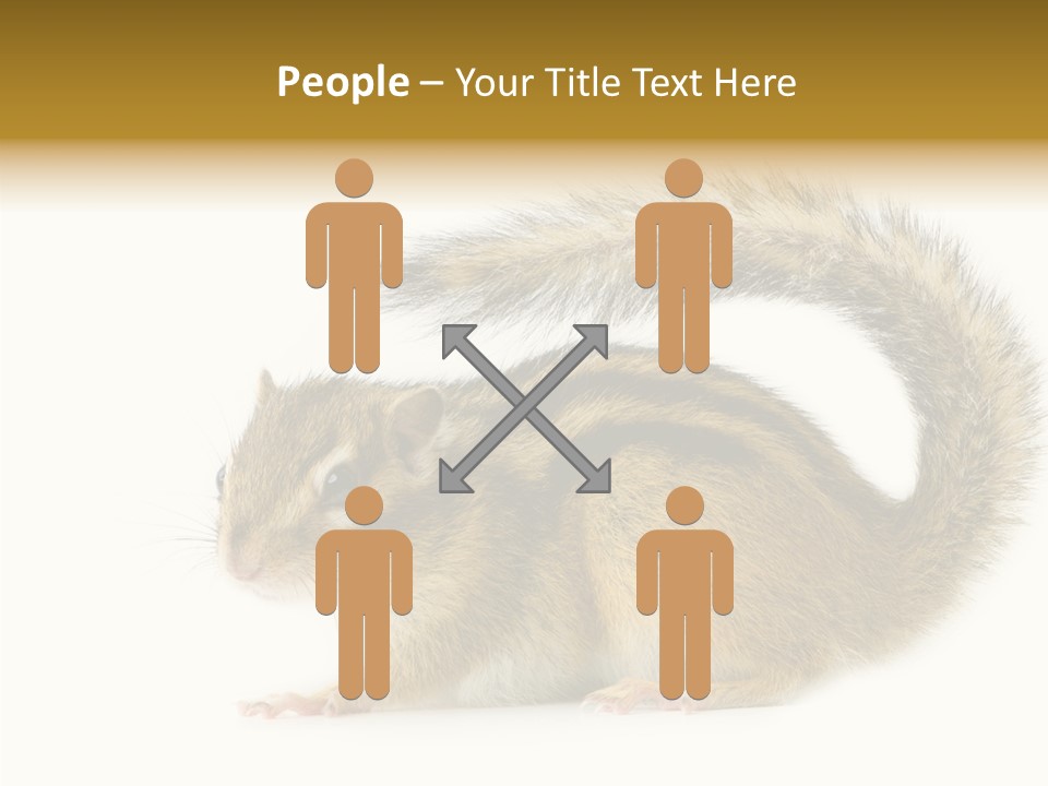 Rodent Small Tail PowerPoint Template