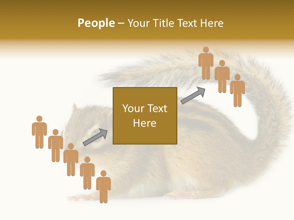 Rodent Small Tail PowerPoint Template