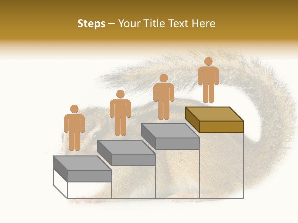 Rodent Small Tail PowerPoint Template