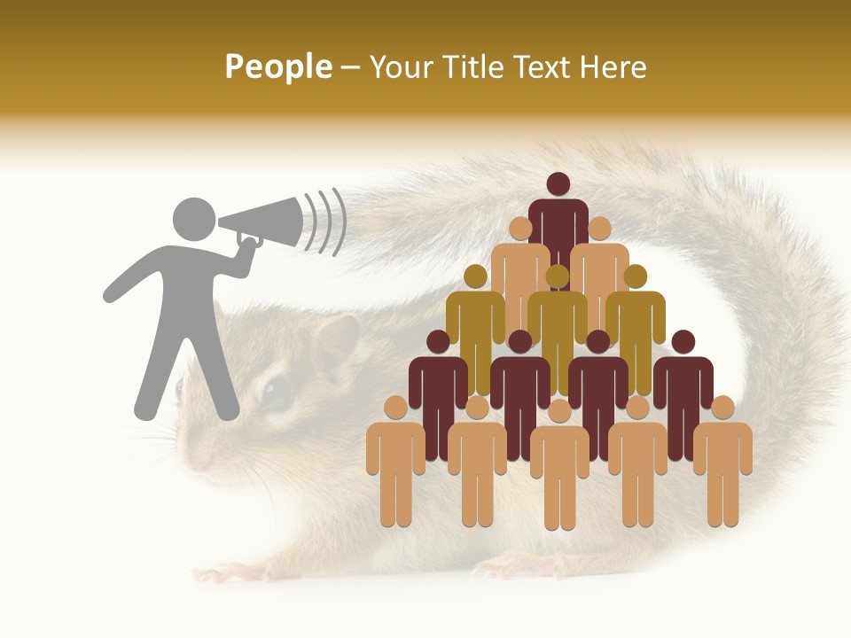 Rodent Small Tail PowerPoint Template