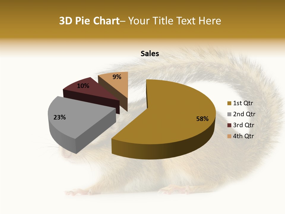 Rodent Small Tail PowerPoint Template
