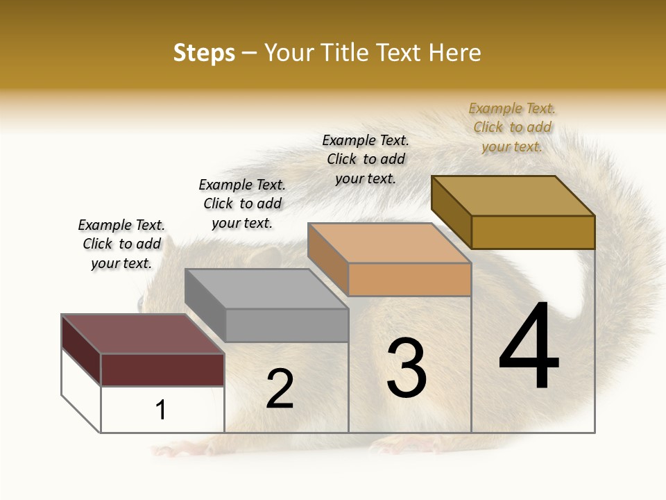 Rodent Small Tail PowerPoint Template