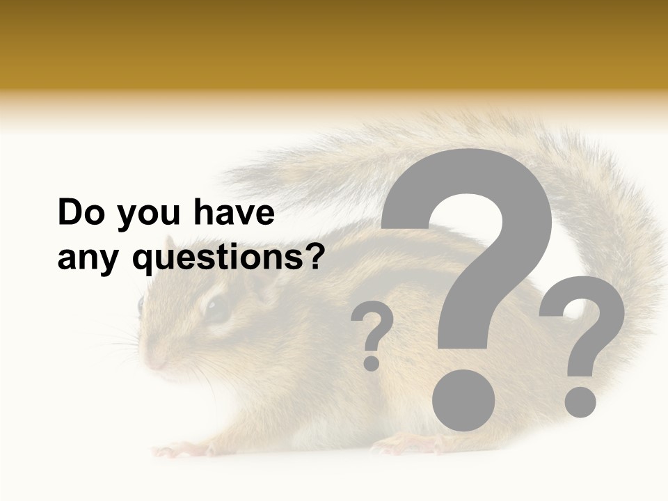 Rodent Small Tail PowerPoint Template