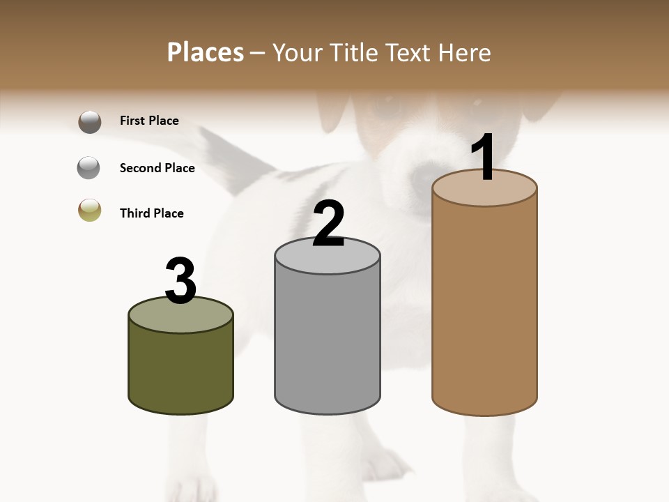 Nobody Puppy White PowerPoint Template