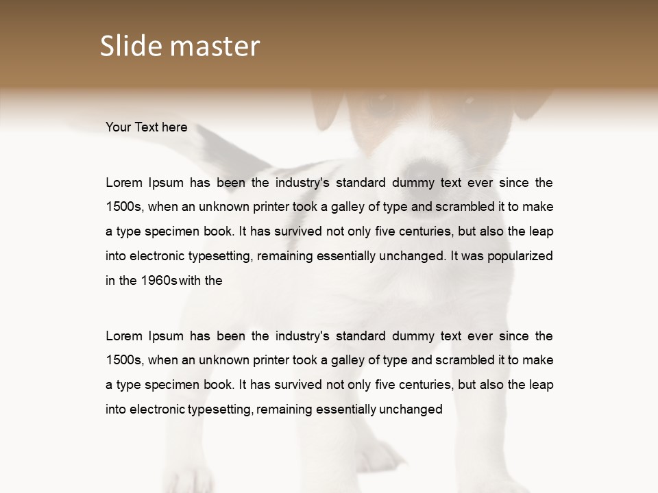 Nobody Puppy White PowerPoint Template