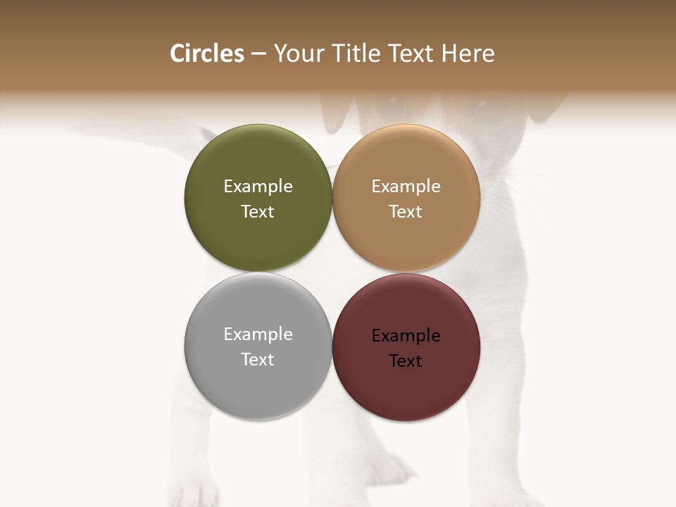 Nobody Puppy White PowerPoint Template