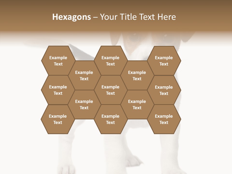 Nobody Puppy White PowerPoint Template