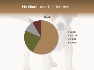 Nobody Puppy White PowerPoint Template