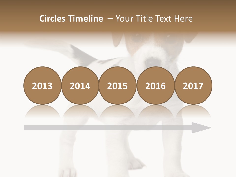 Nobody Puppy White PowerPoint Template