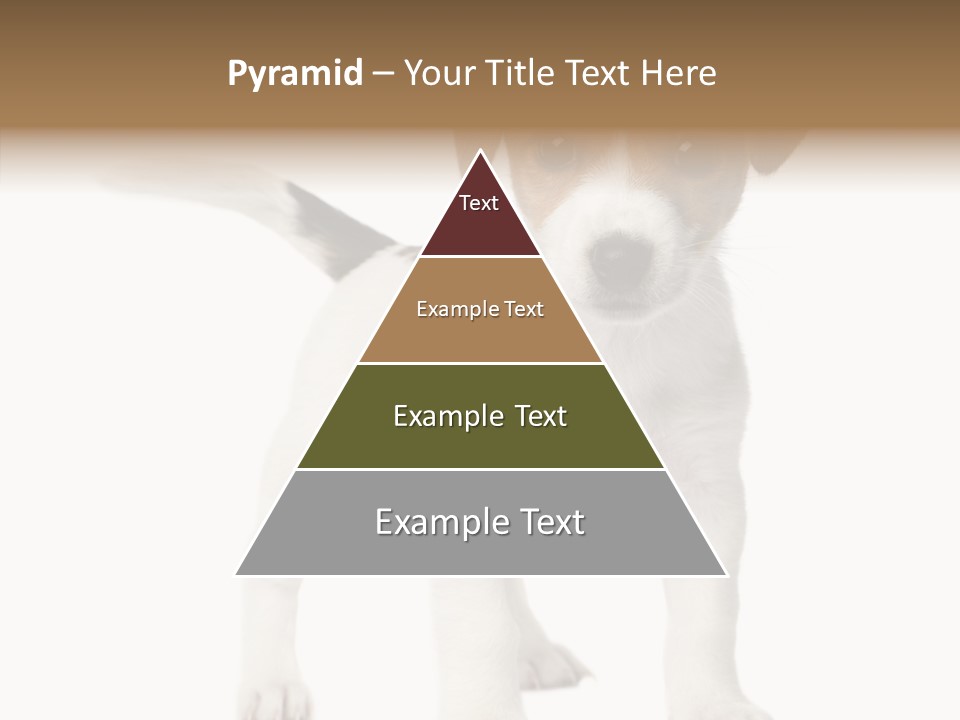 Nobody Puppy White PowerPoint Template