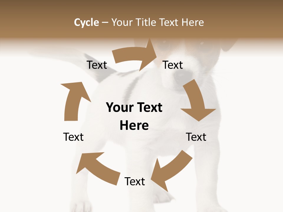 Nobody Puppy White PowerPoint Template