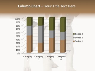 Nobody Puppy White PowerPoint Template