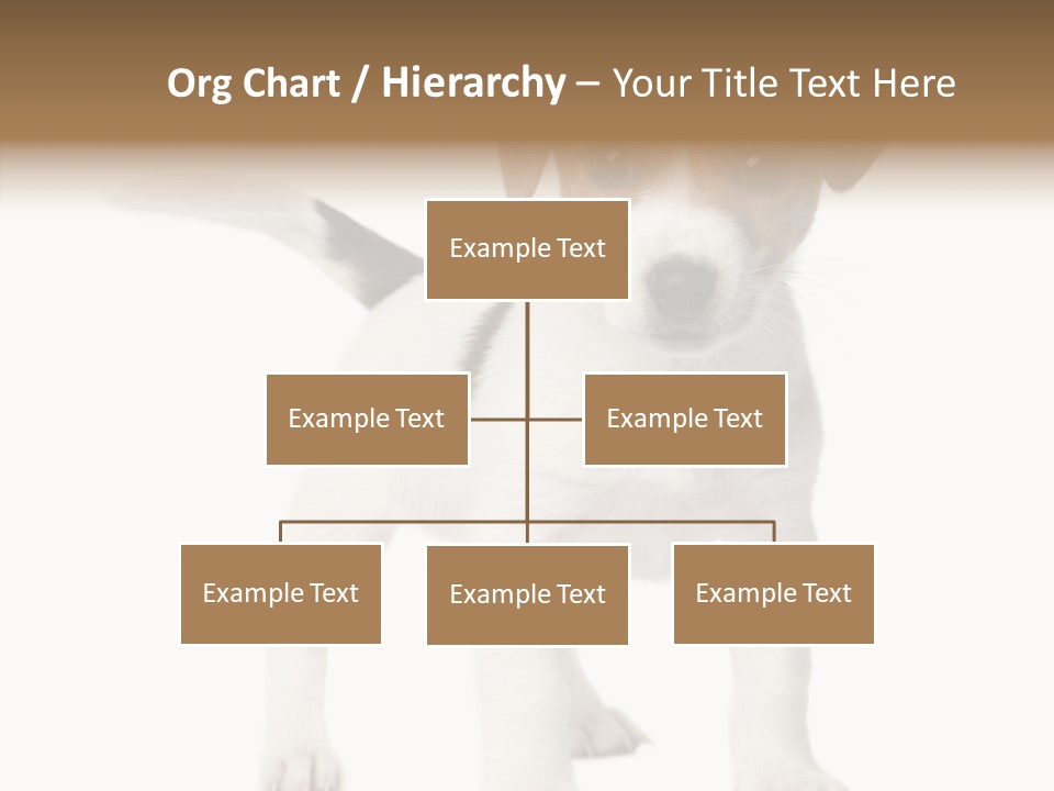 Nobody Puppy White PowerPoint Template