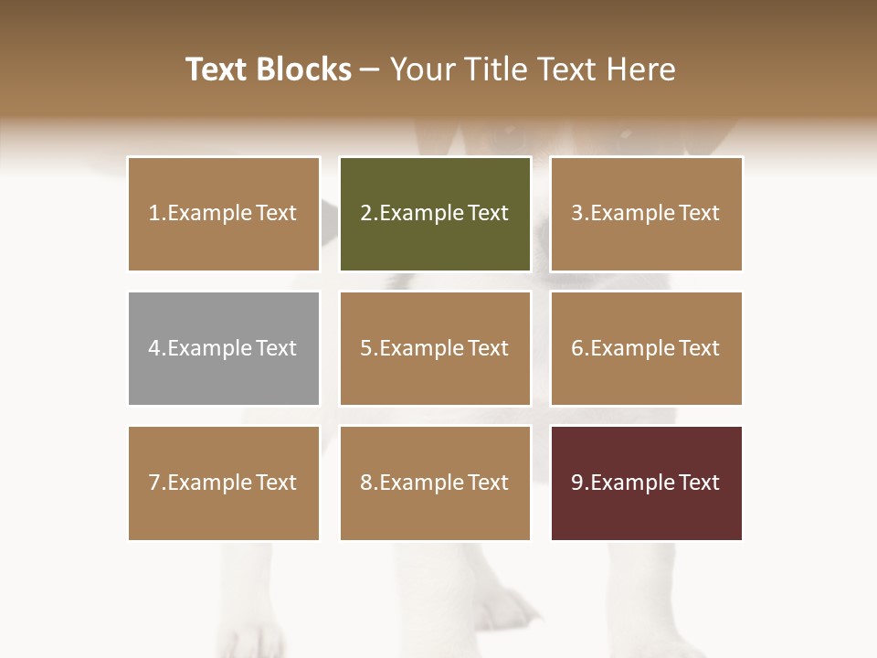 Nobody Puppy White PowerPoint Template