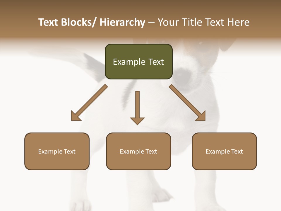 Nobody Puppy White PowerPoint Template