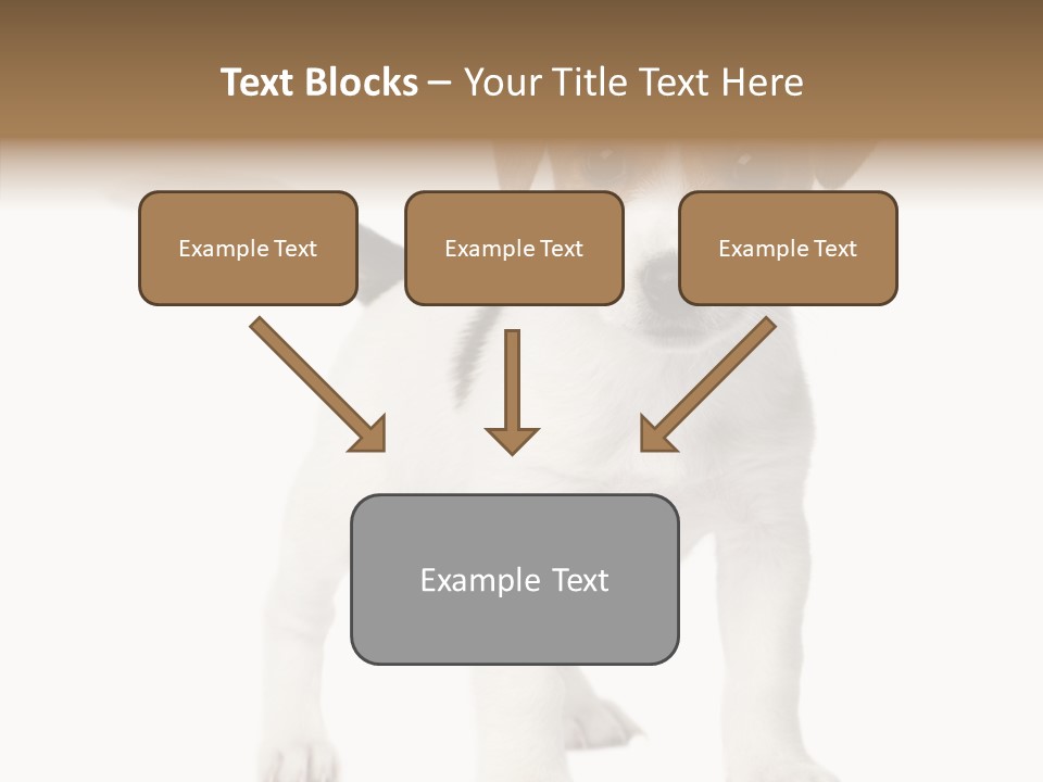 Nobody Puppy White PowerPoint Template