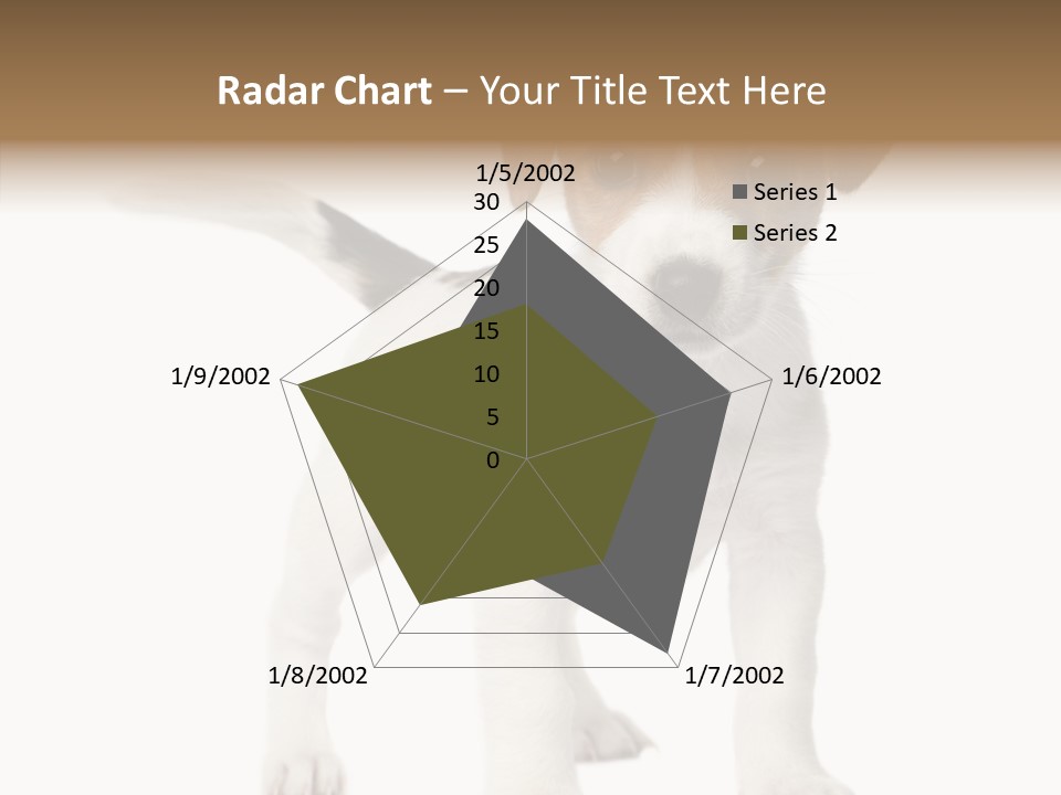 Nobody Puppy White PowerPoint Template