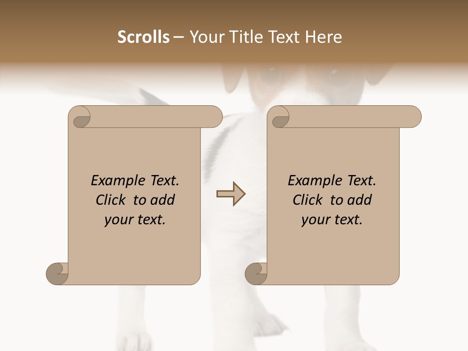 Nobody Puppy White PowerPoint Template