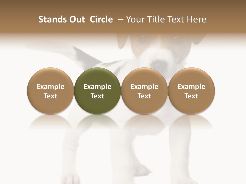 Nobody Puppy White PowerPoint Template