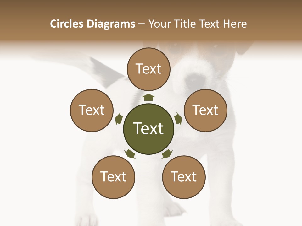 Nobody Puppy White PowerPoint Template