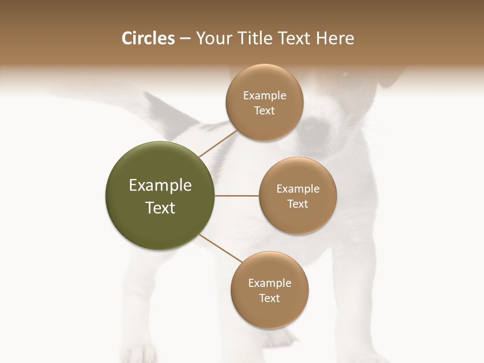 Nobody Puppy White PowerPoint Template