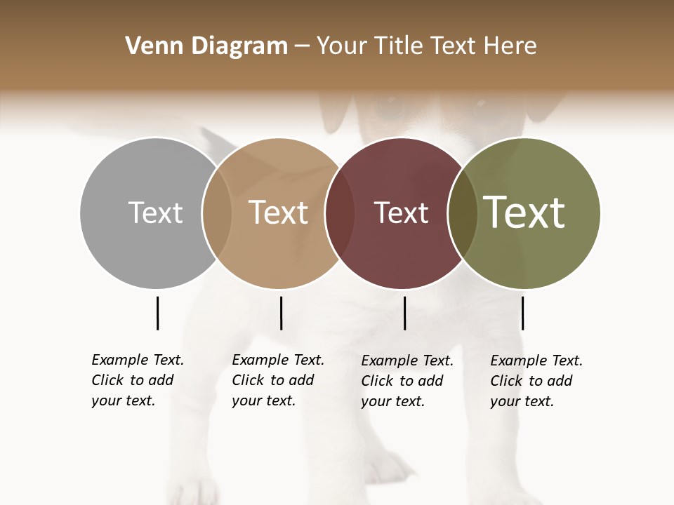 Nobody Puppy White PowerPoint Template