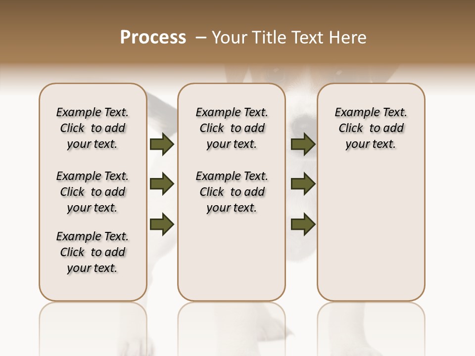 Nobody Puppy White PowerPoint Template
