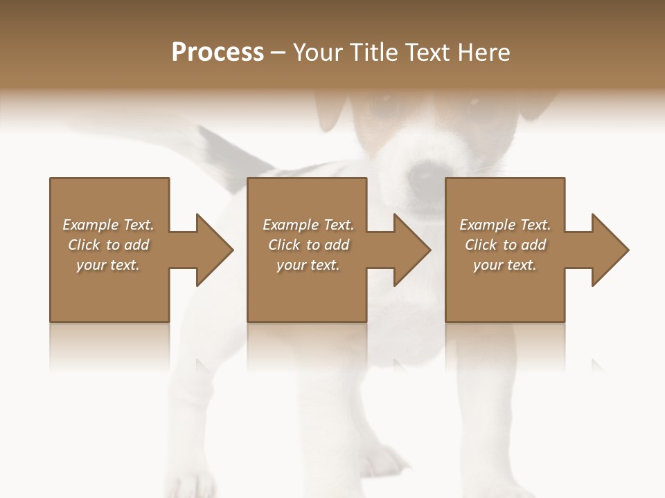Nobody Puppy White PowerPoint Template