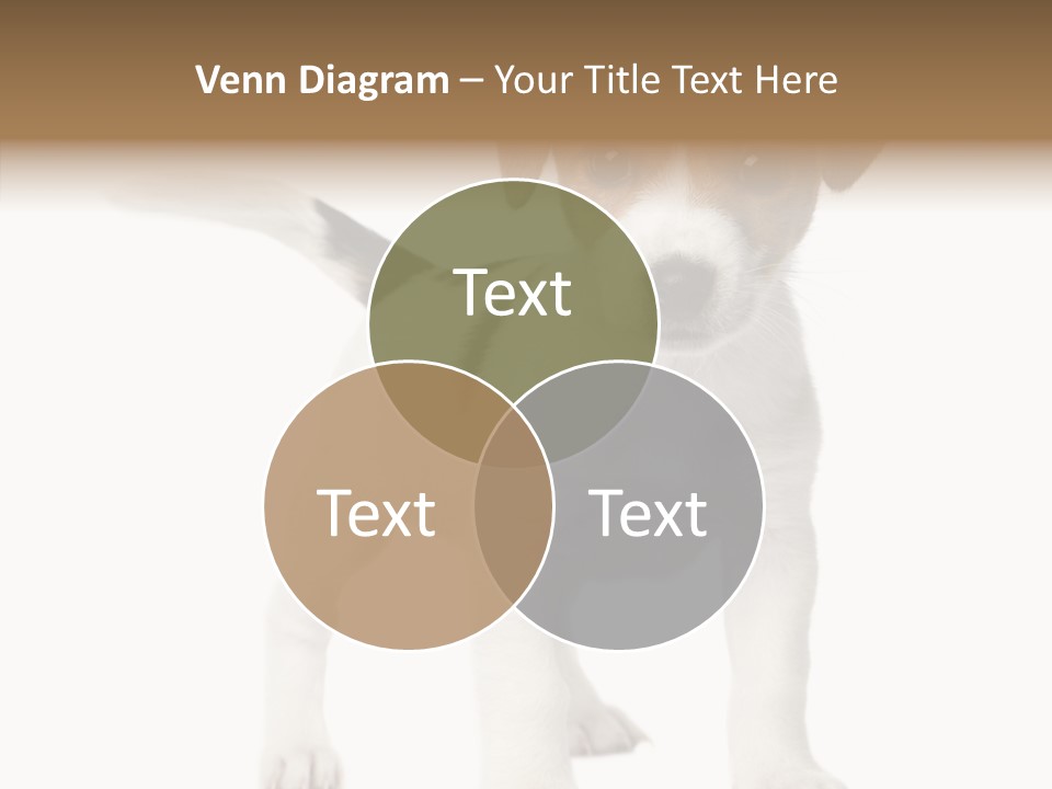 Nobody Puppy White PowerPoint Template