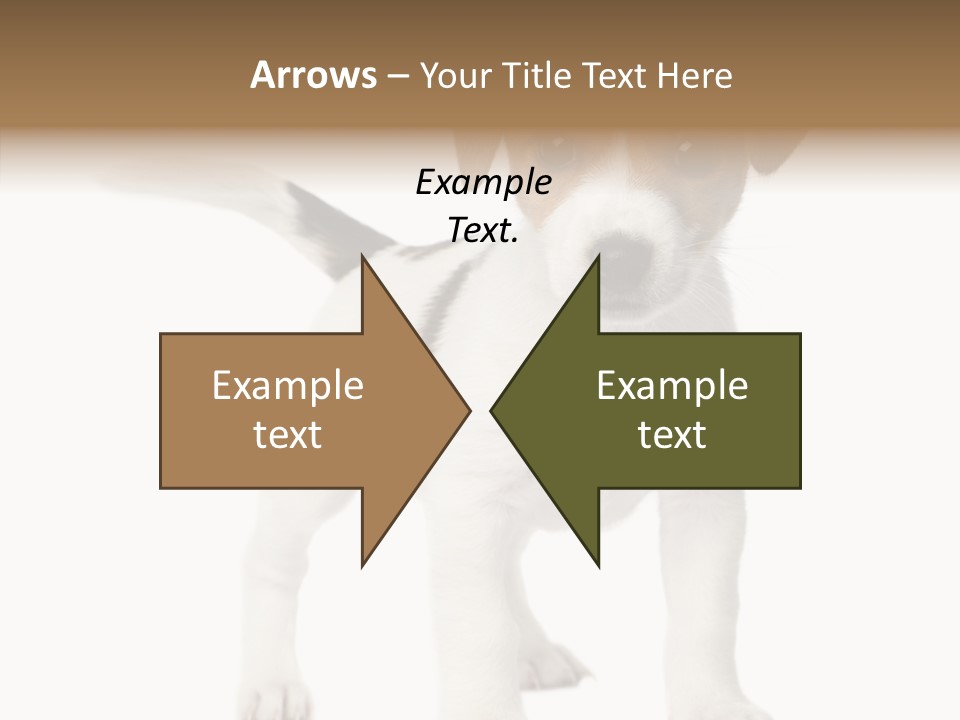 Nobody Puppy White PowerPoint Template