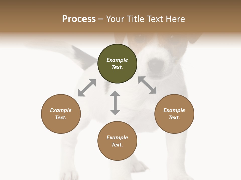 Nobody Puppy White PowerPoint Template