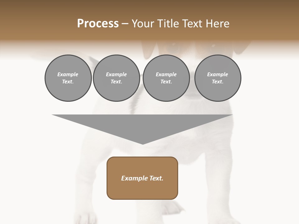 Nobody Puppy White PowerPoint Template