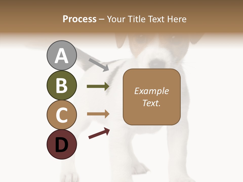 Nobody Puppy White PowerPoint Template