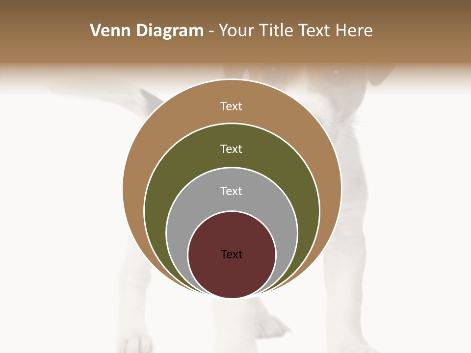 Nobody Puppy White PowerPoint Template