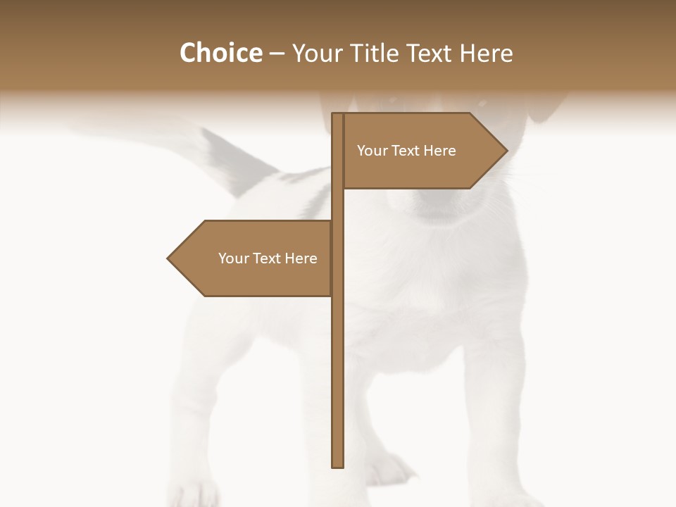 Nobody Puppy White PowerPoint Template