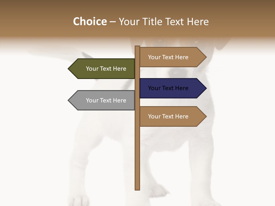 Nobody Puppy White PowerPoint Template