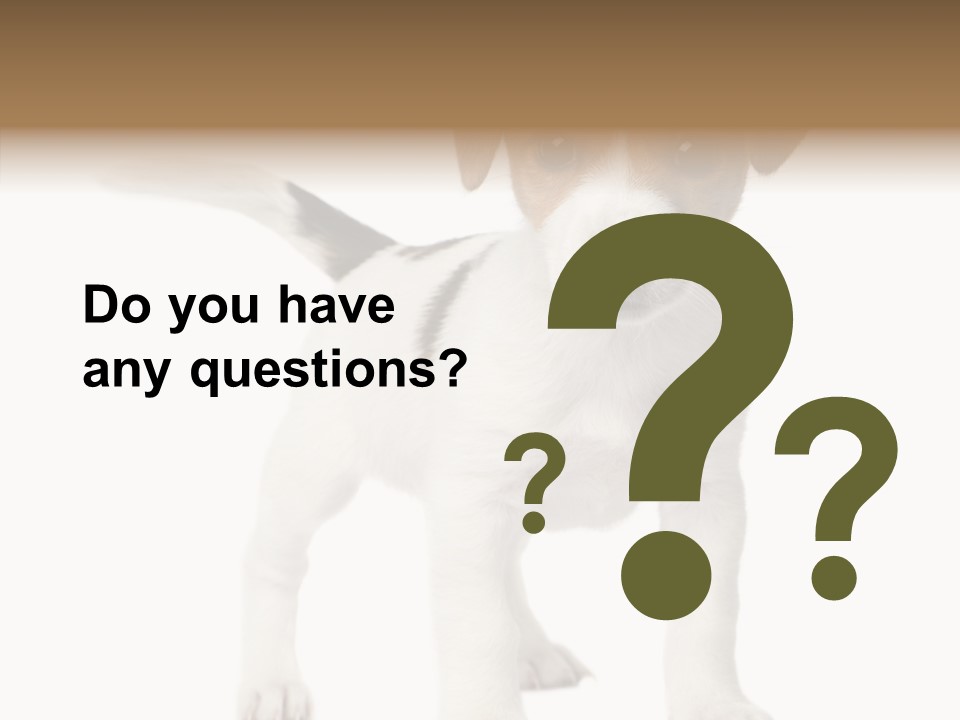 Nobody Puppy White PowerPoint Template