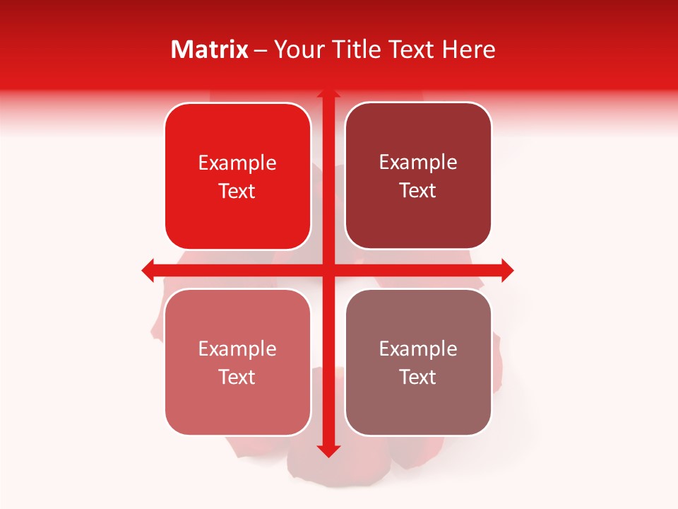 Congratulation Floral Multi PowerPoint Template