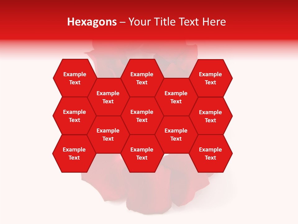 Congratulation Floral Multi PowerPoint Template